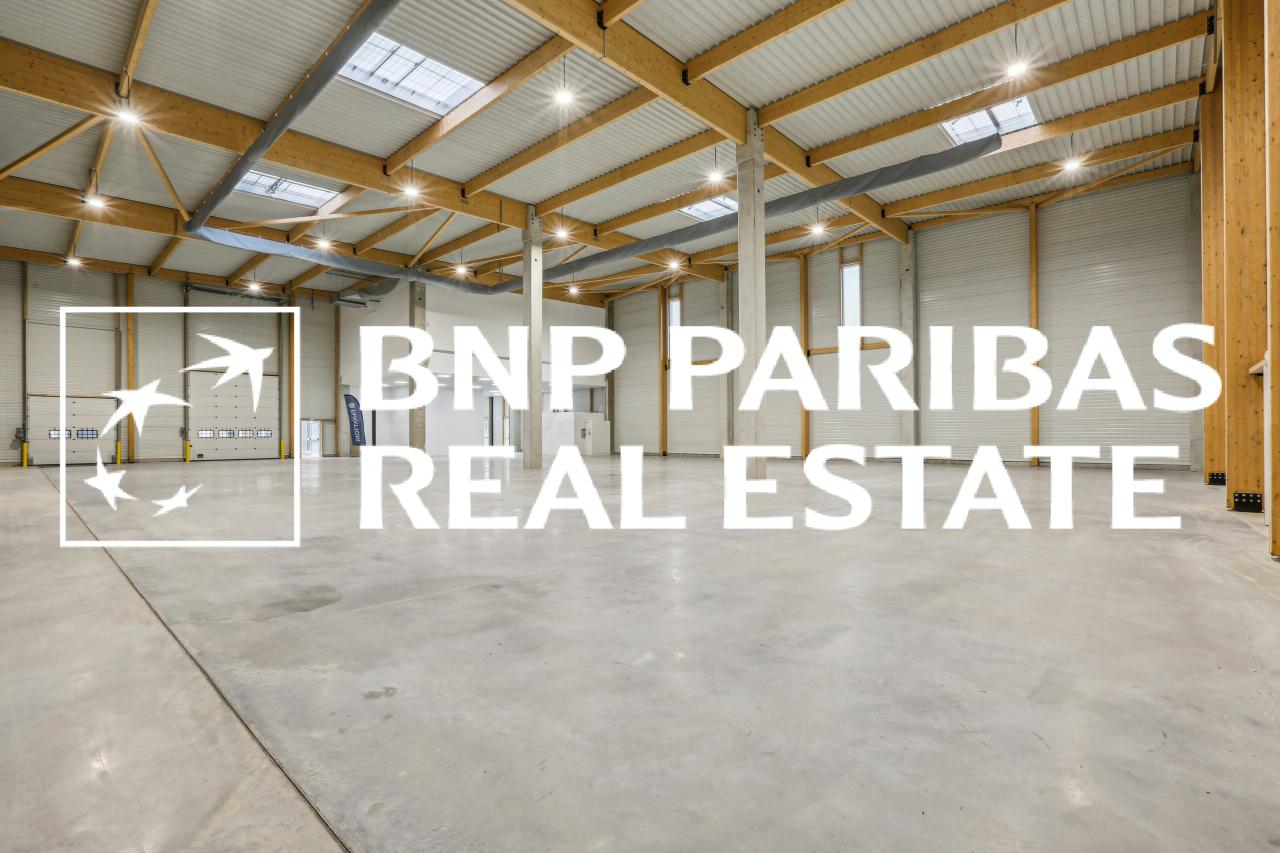 Local d'activité Moissy-Cramayel 2129m² Location local d'activité Moissy-Cramayel Seine-et-Marne OLACT2201095 6